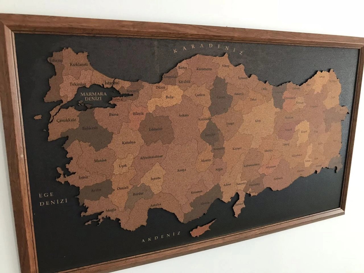 402 - 3D Mantar Türkiye Haritası