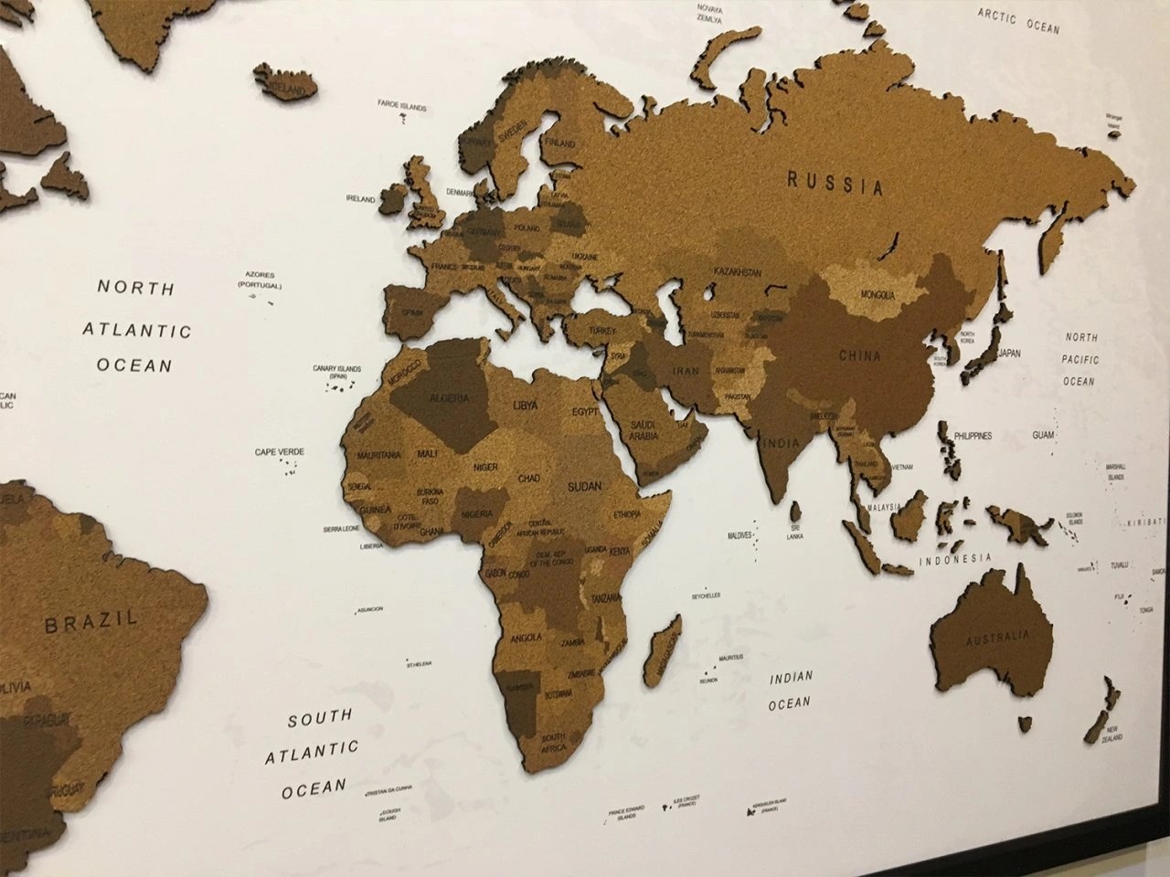 407 - 3D Mantar Dünya Haritası