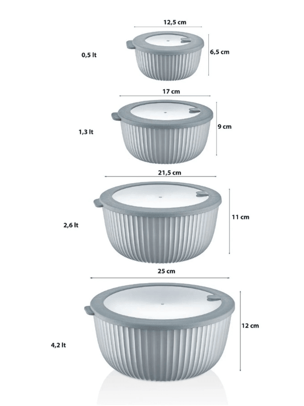 Elegance Serisi Sızdırmaz Kapaklı 4'lü Saklama Kabı Seti Mikrodalga & Buzdolabı Uyumlu