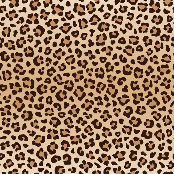 Leopar Desen