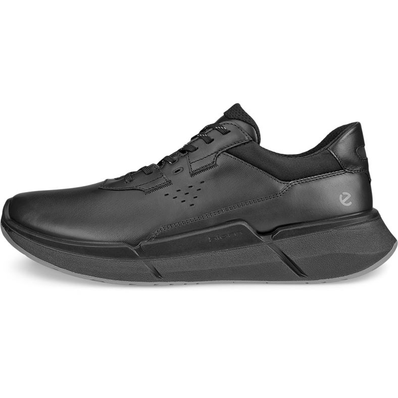 ECCO BIOM 2.2 M - BLACK