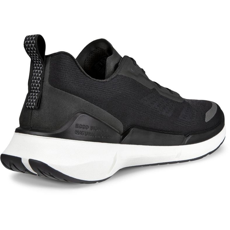 ECCO BIOM 2.2 M