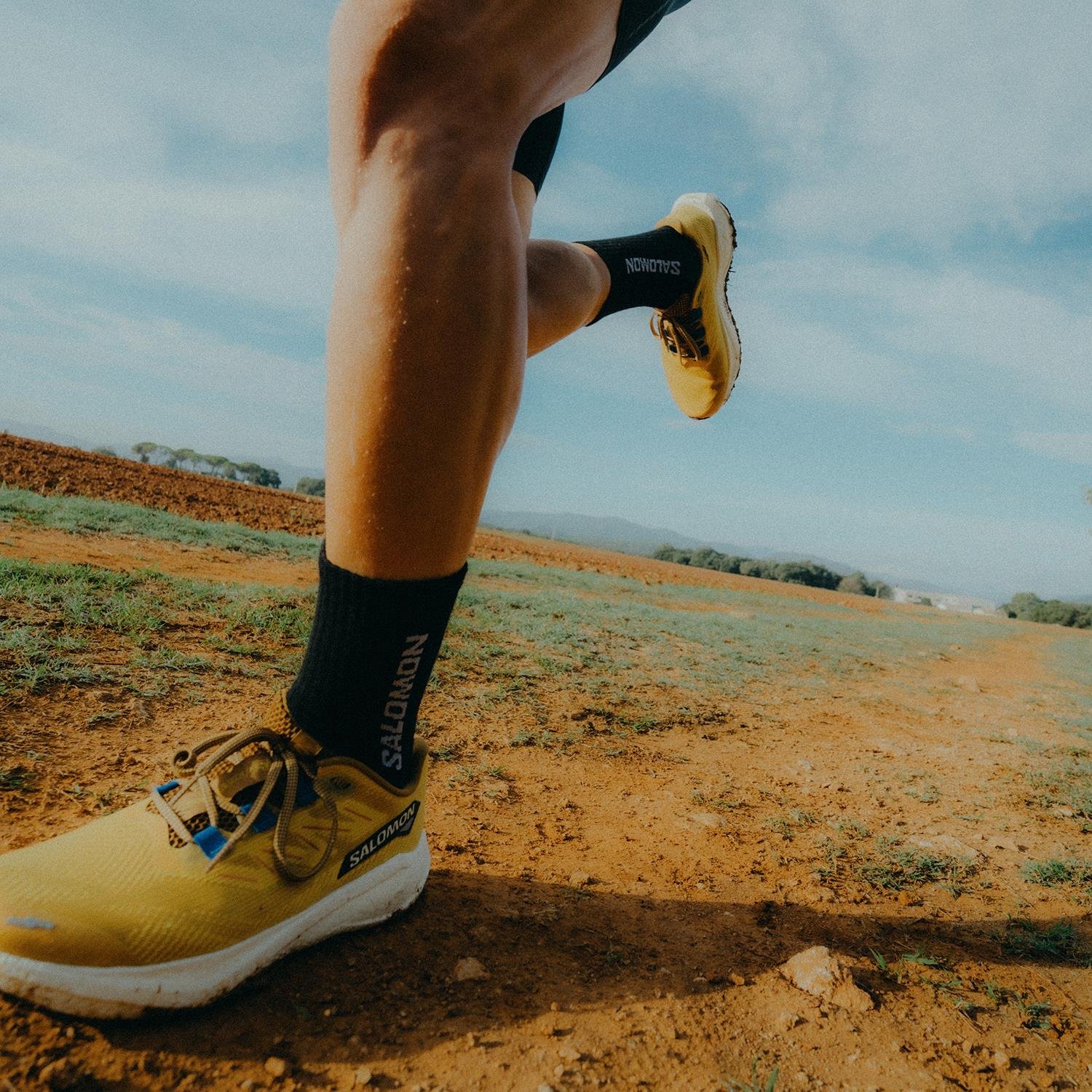 SALOMON EVERYDAY CREW 3-PACK