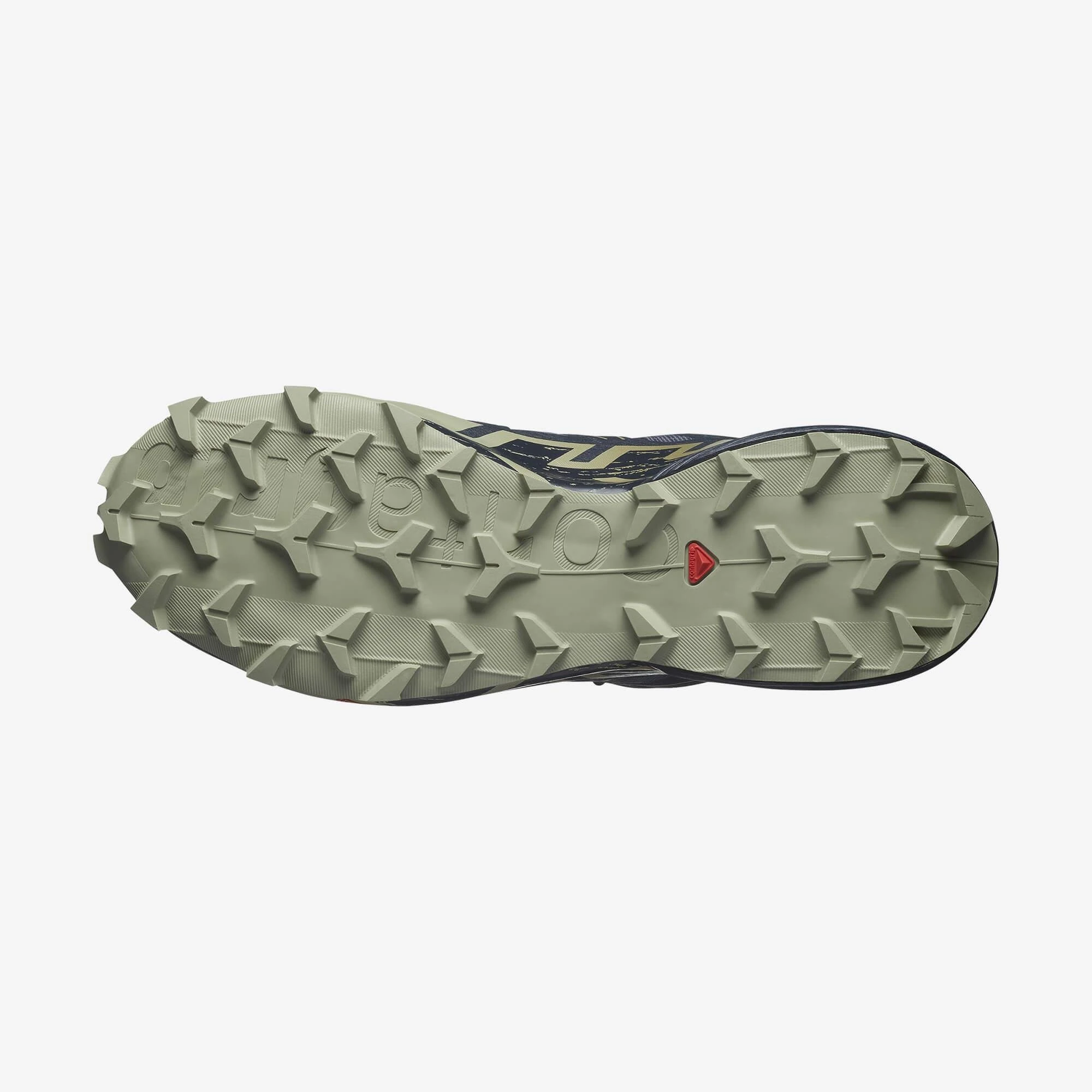 SALOMON SPEEDCROSS 6 GTX