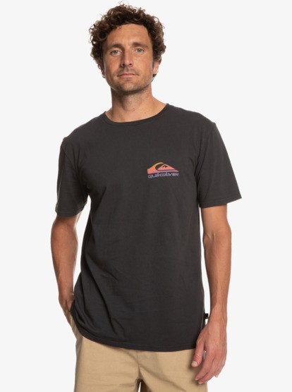 QUIKSILVER PASTIMEPARADISE M TEES