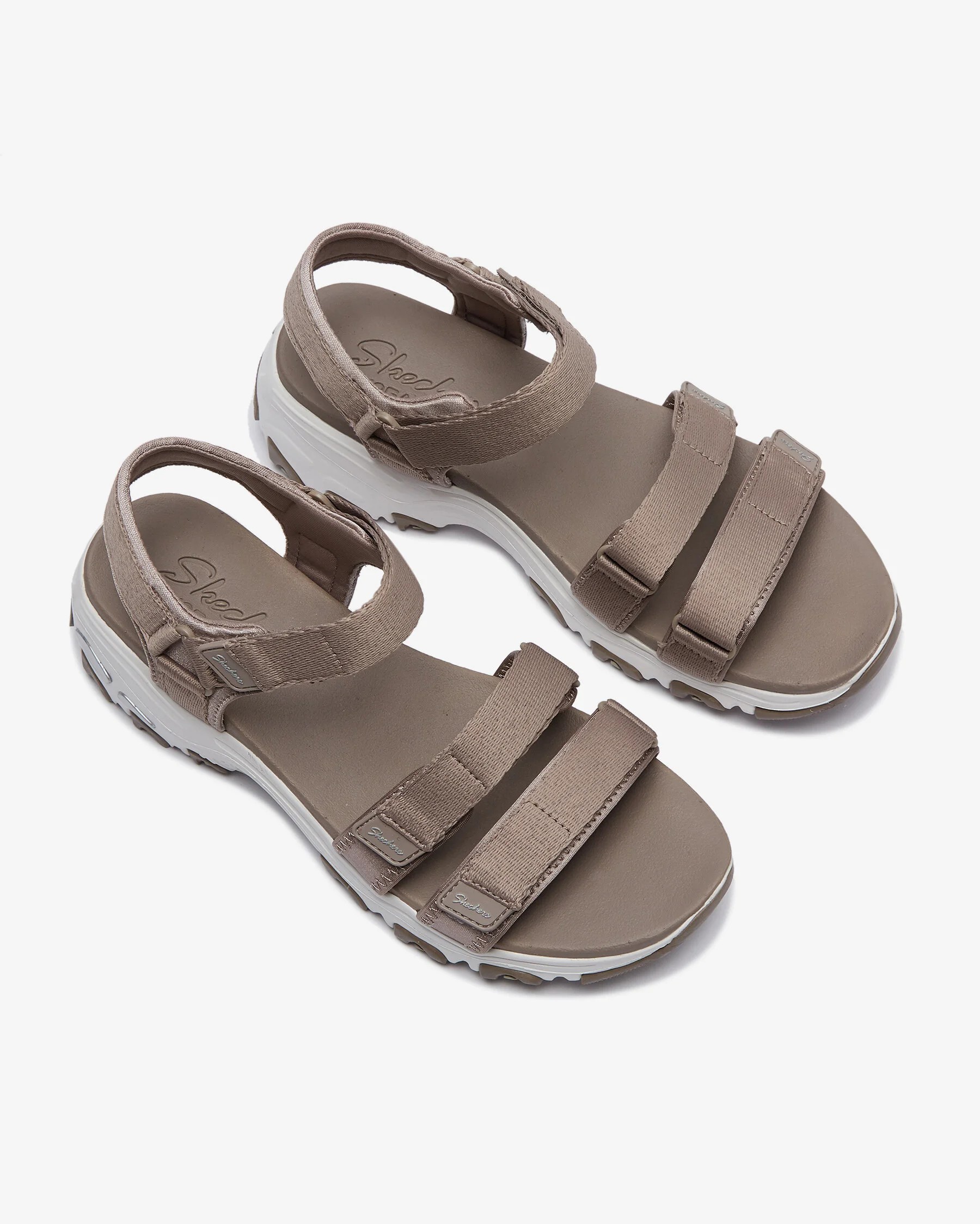 SKECHERS D'LITES - FRESH CATCH