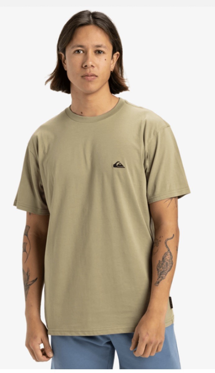 QUIKSILVER BASIC SS TEE - ALOE