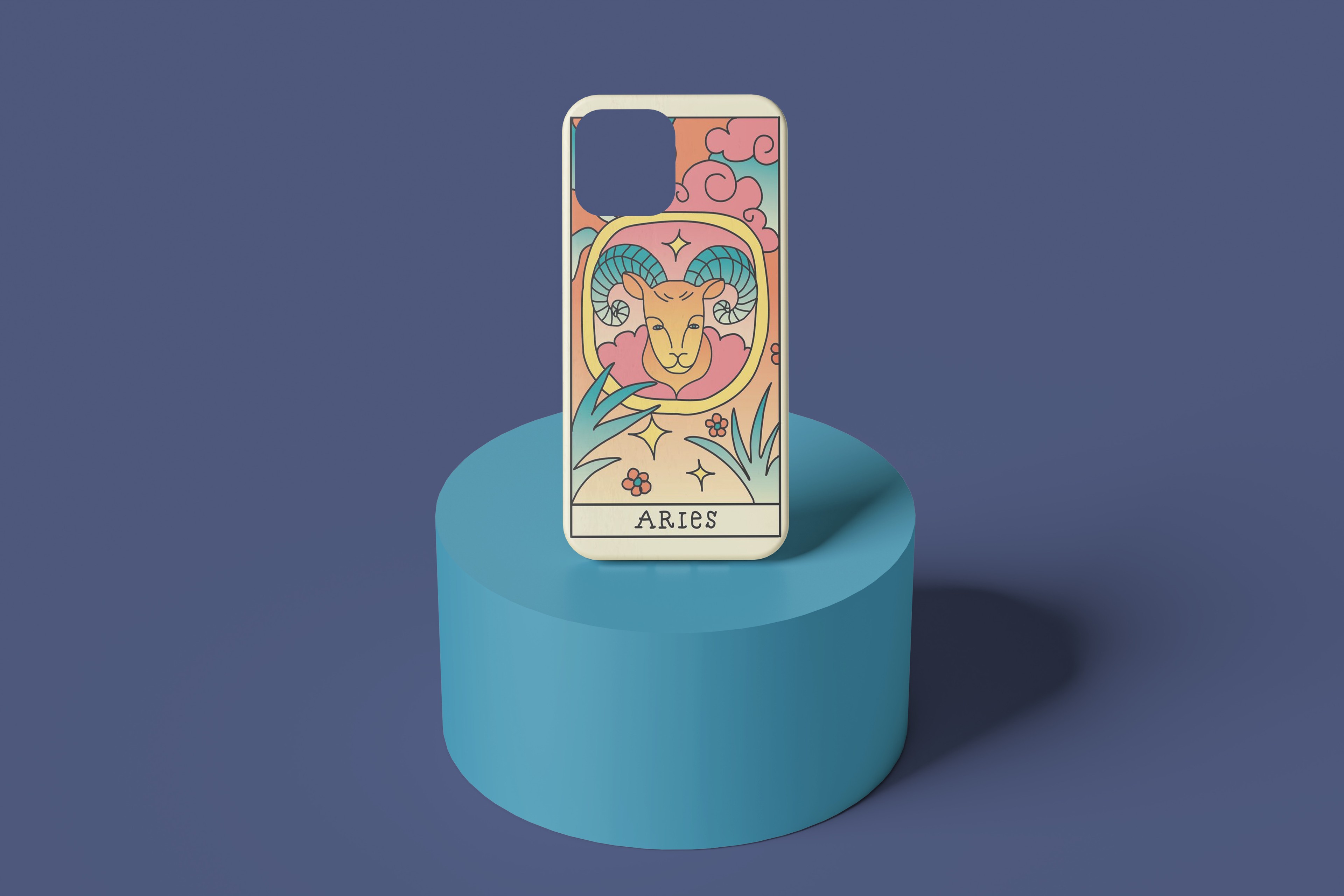 ARIES CASE