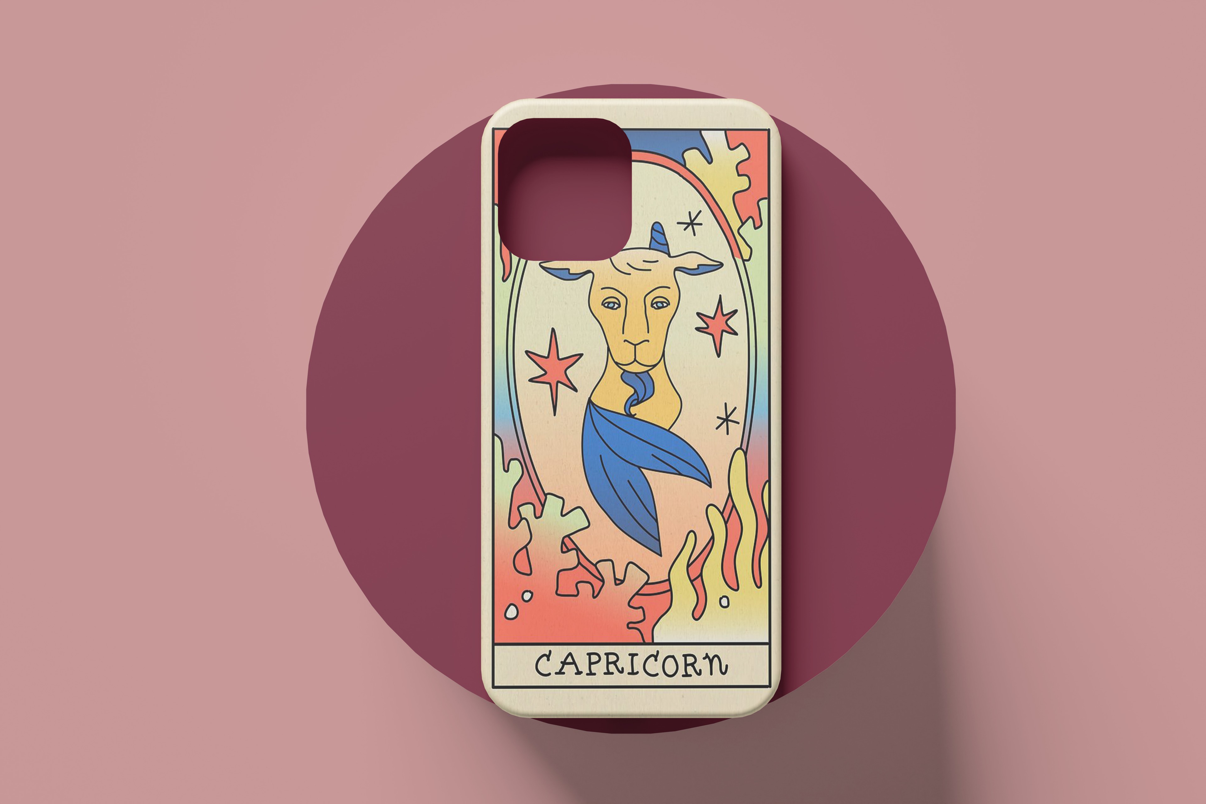 CAPRICORN CASE