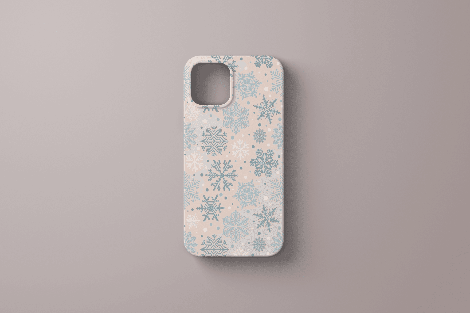 SNOW CASE