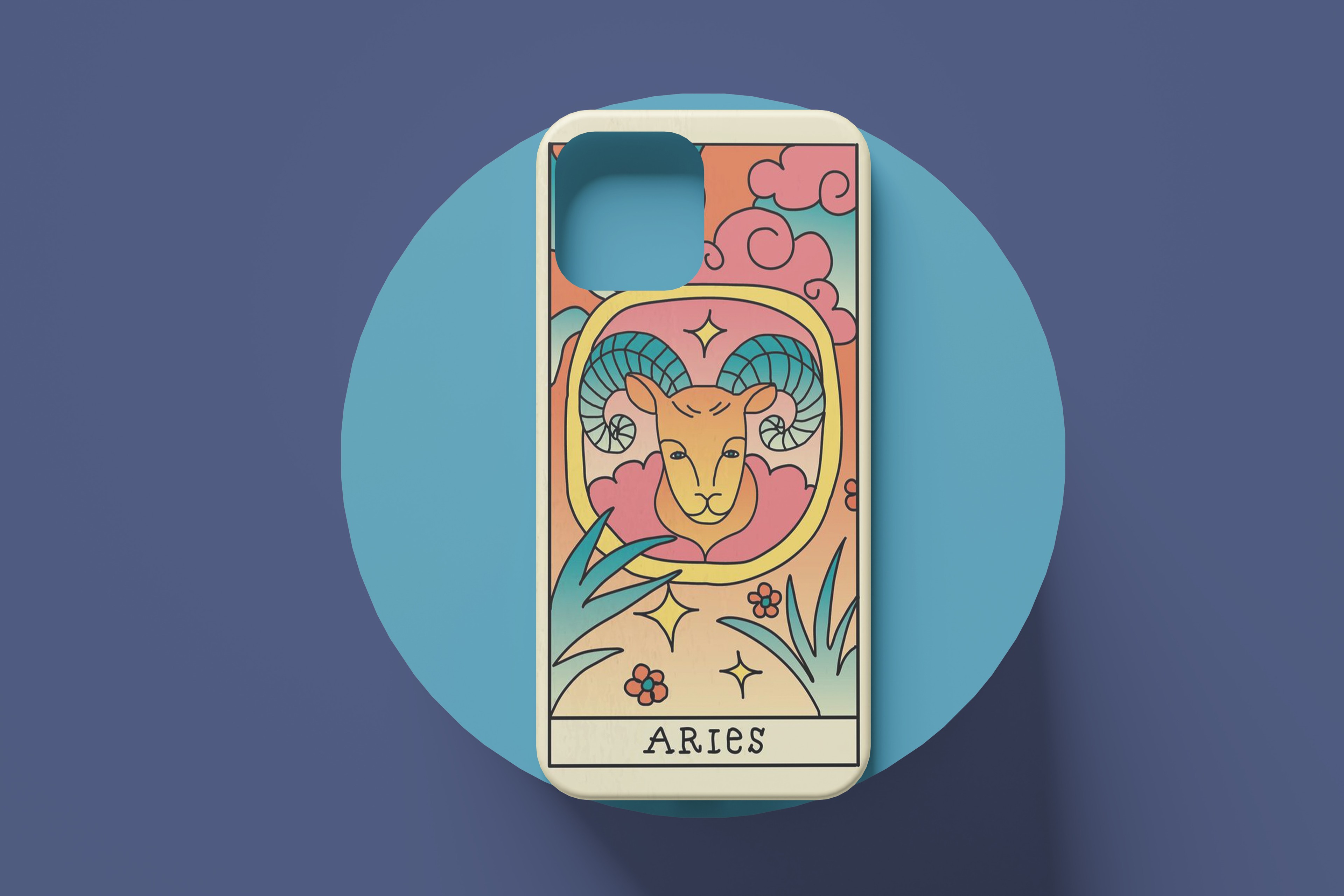 ARIES CASE