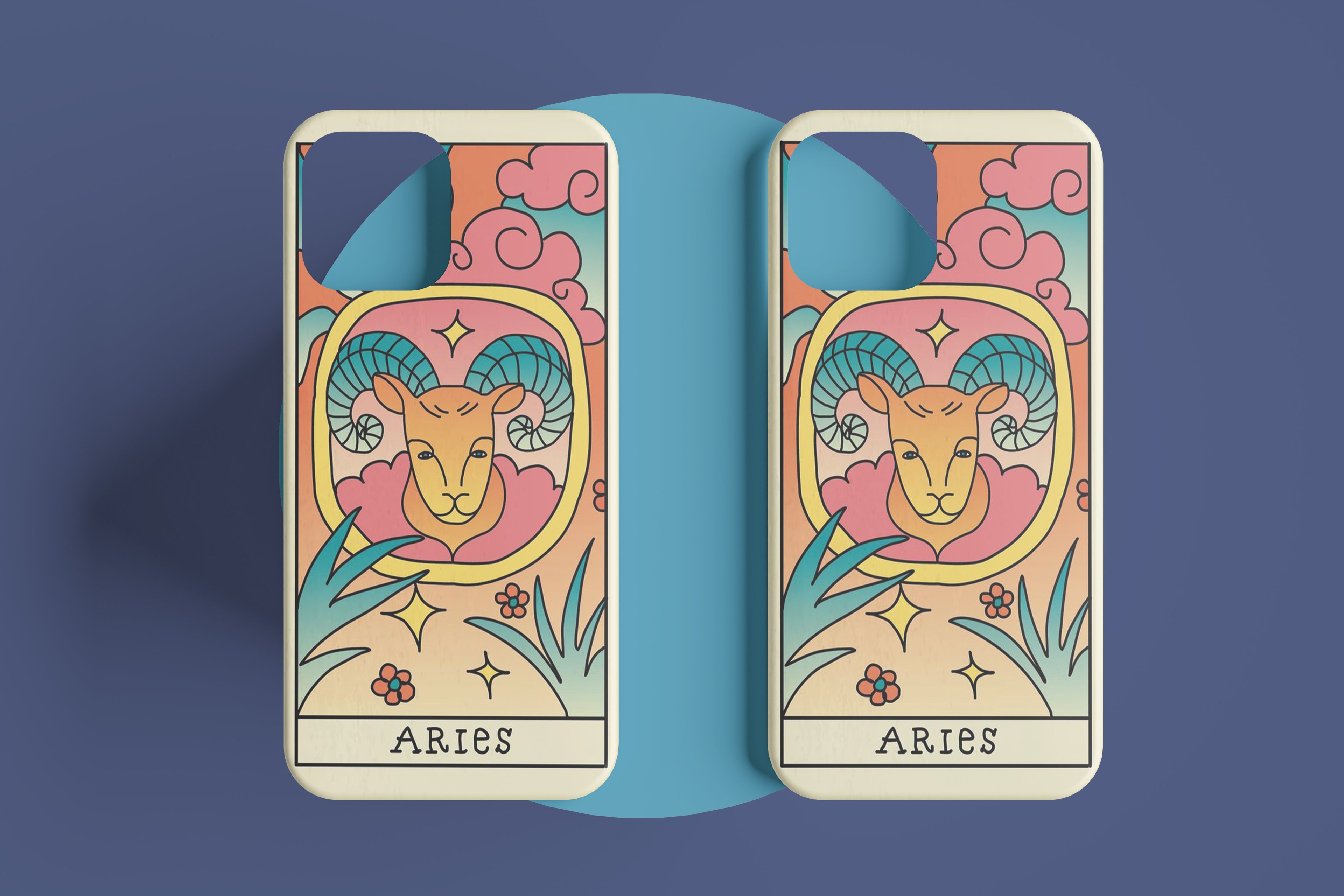 ARIES CASE