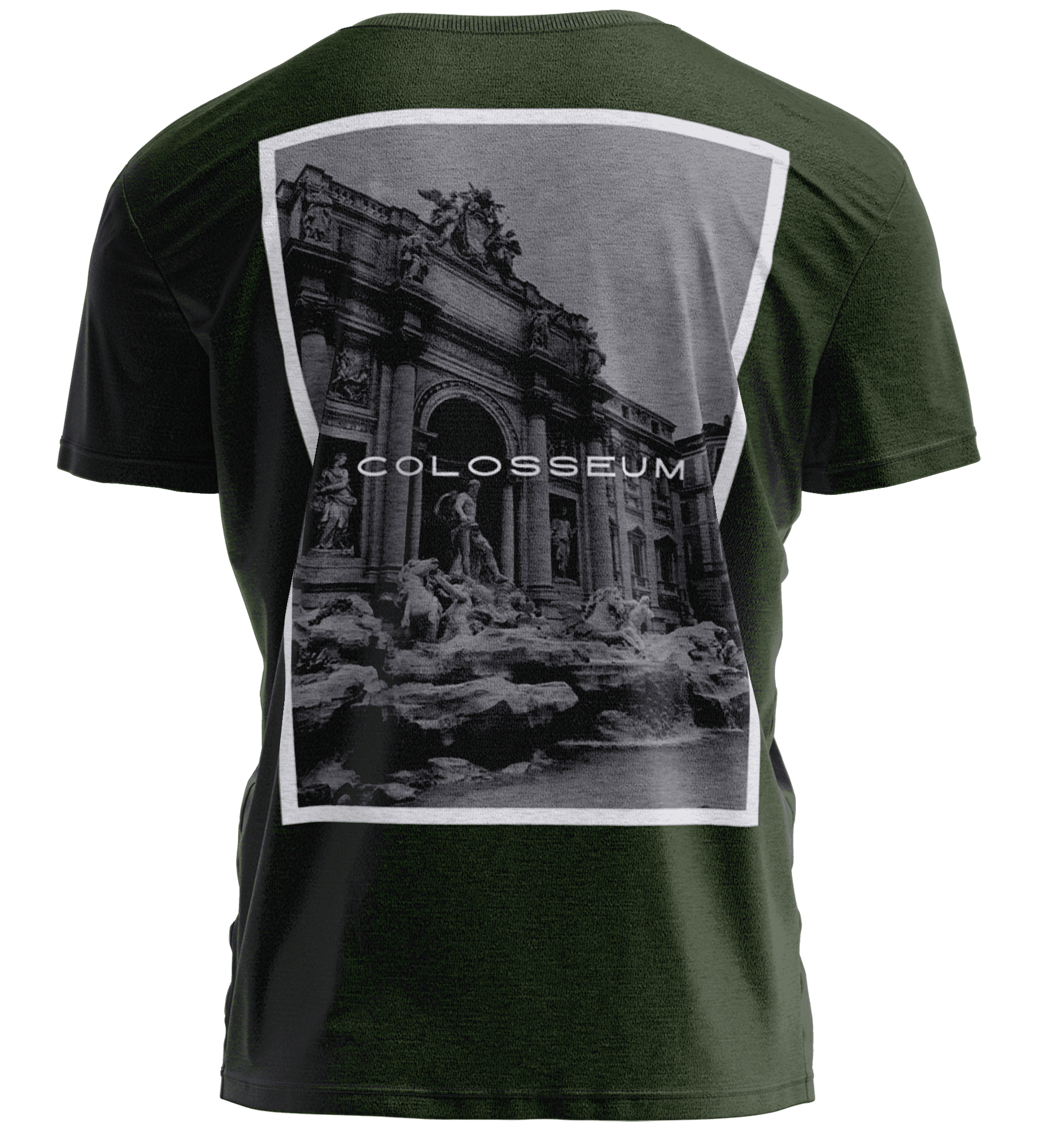 COLOSSEUM Haki Yeşili Regular Fit T-Shirt