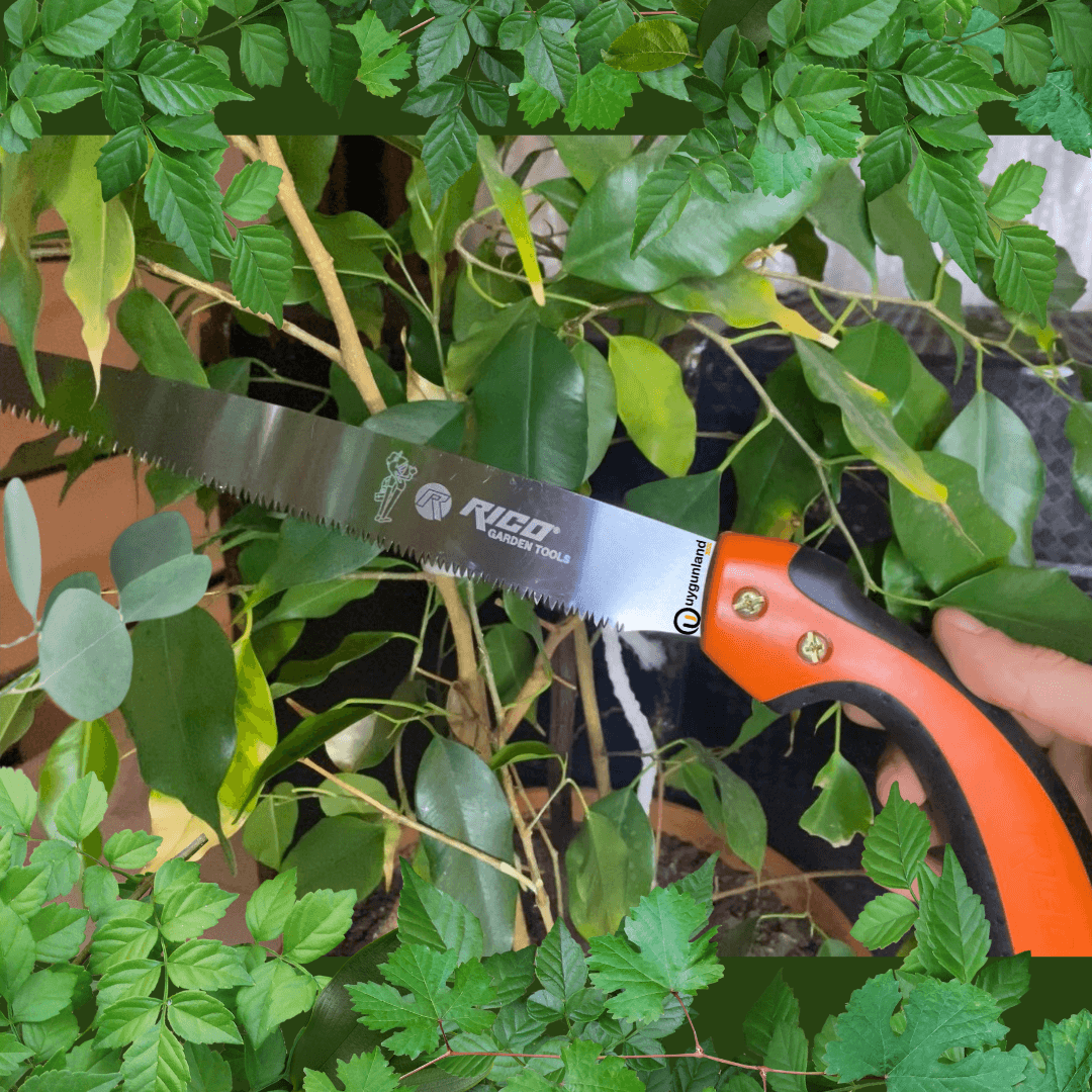 Rico 018-RC2504 Orta Diş Budama Testeresi 25cm - Bahçe Budama ve Zeytin Hasadı İçin Profesyonel Testere - 12 ADET