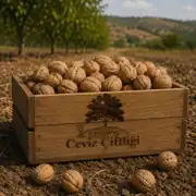 Dalından