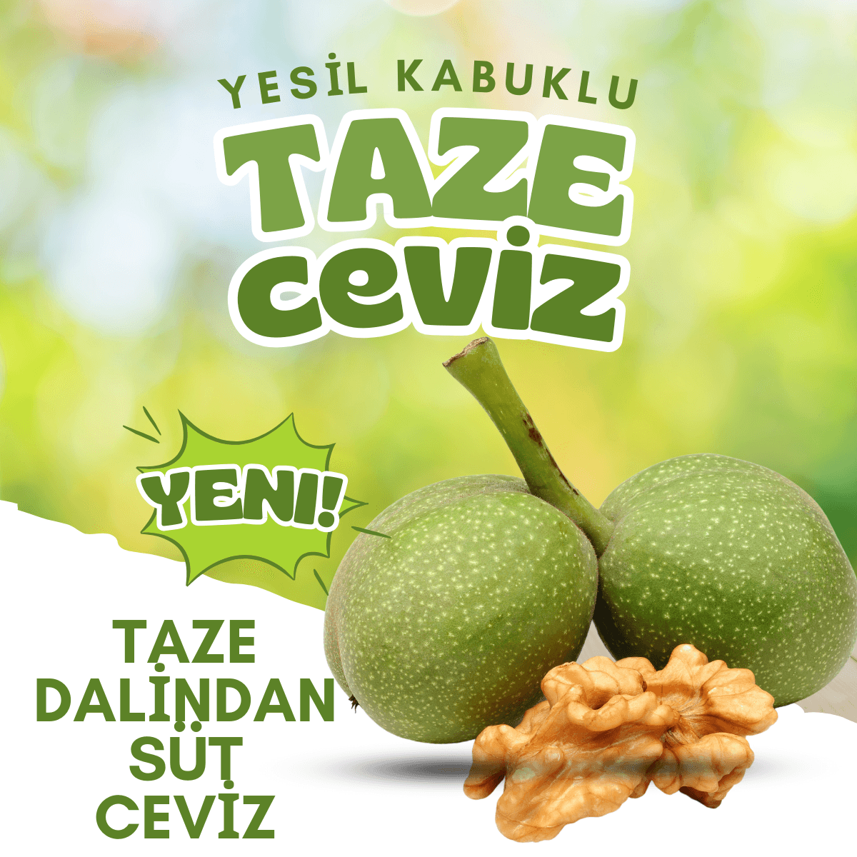 Dalından Taze Süt Ceviz -  Yaş Ceviz Yeşil Kabuklu