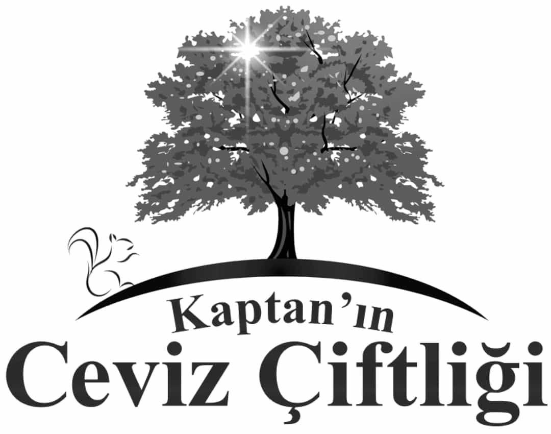 www.cevizhane.org