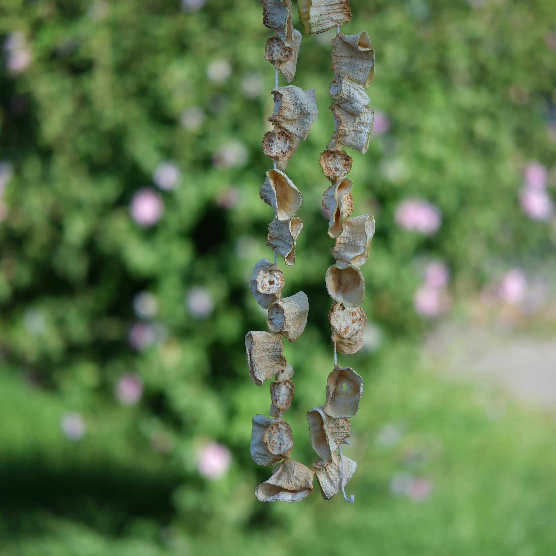 Dolmalık Kabak Kurusu