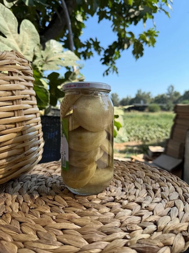 Çanak Enginar Konservesi