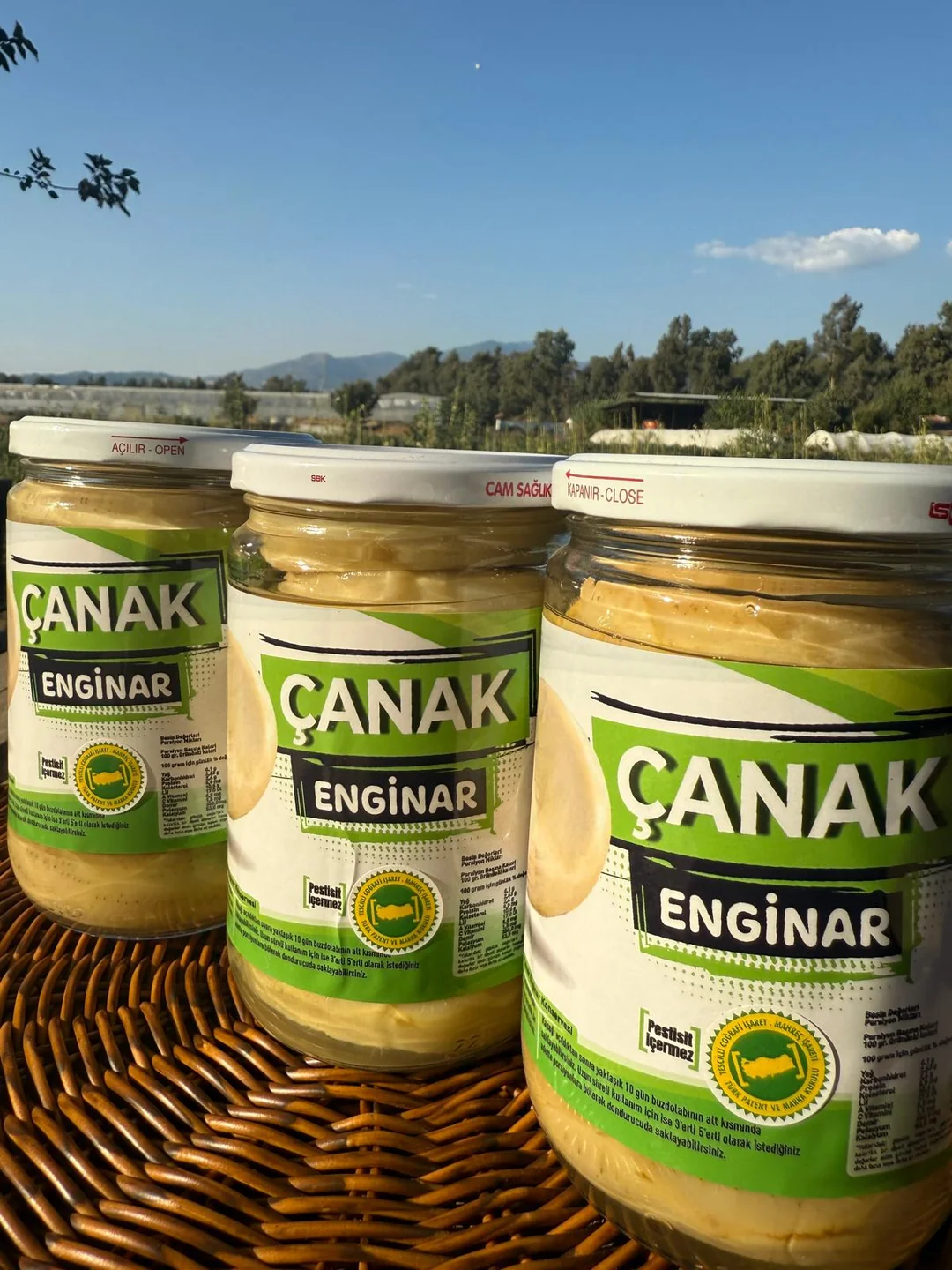 Çanak Enginar Konservesi