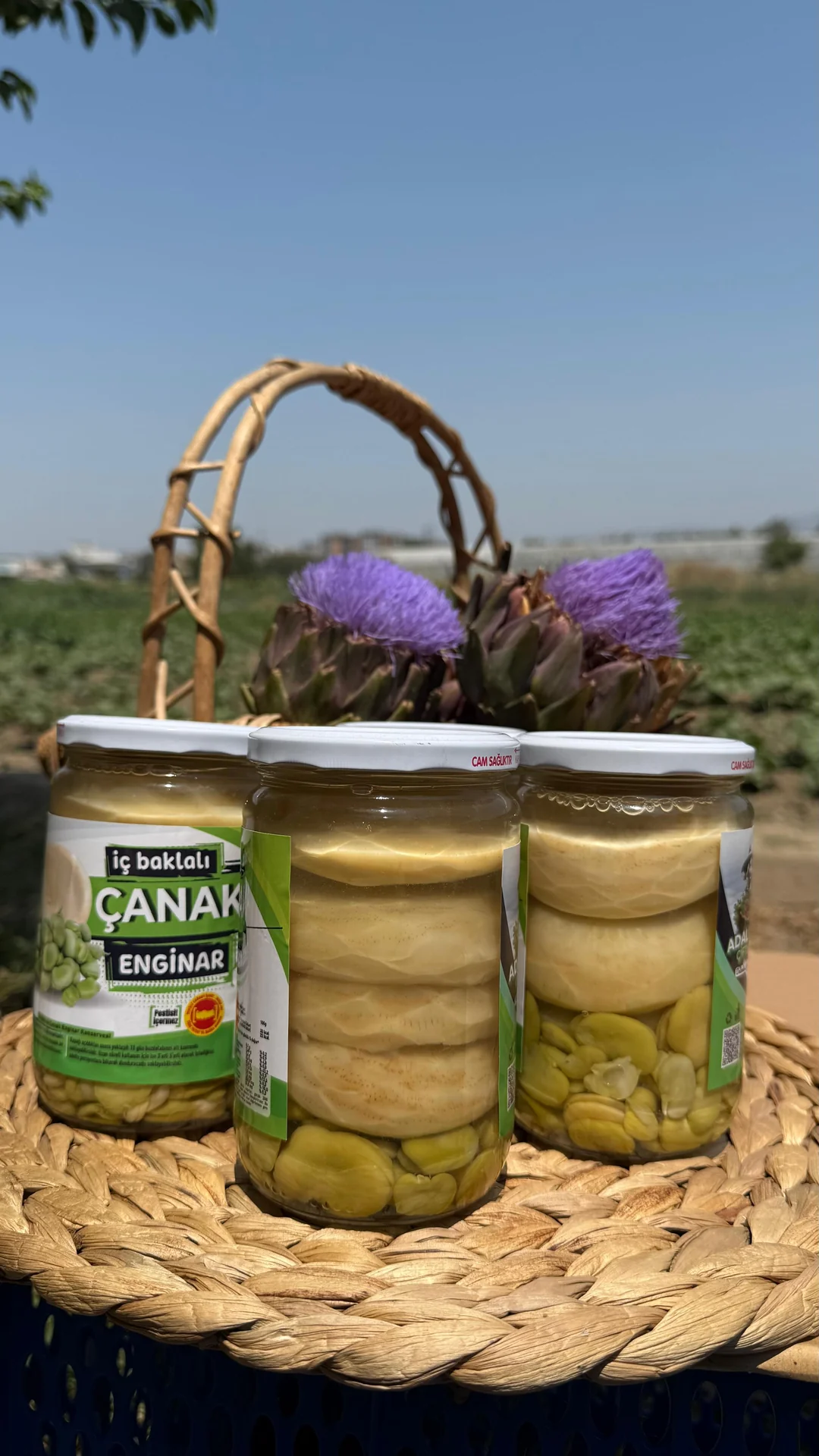 İç Baklalı Çanak Enginar Konservesi - 4'lü 660 cc