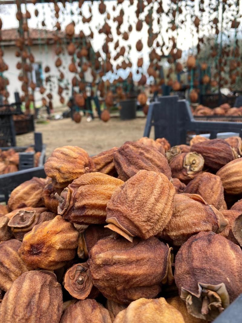 Cennet Hurması - Double Boy