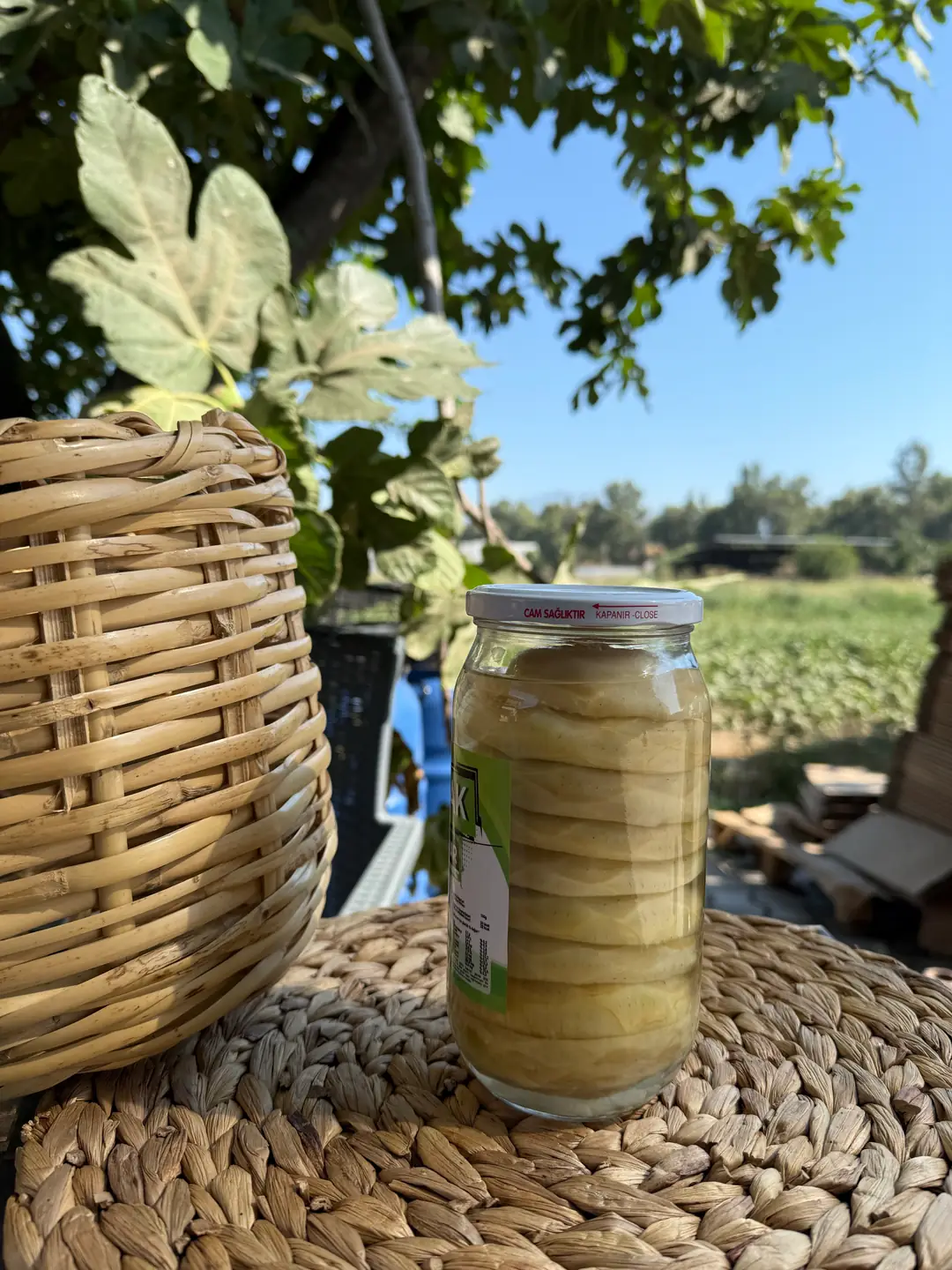 Çanak Enginar Konservesi - 12'li  (6-7cm) 1000 cc