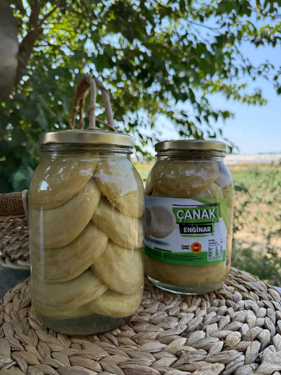 Çanak Enginar Konservesi