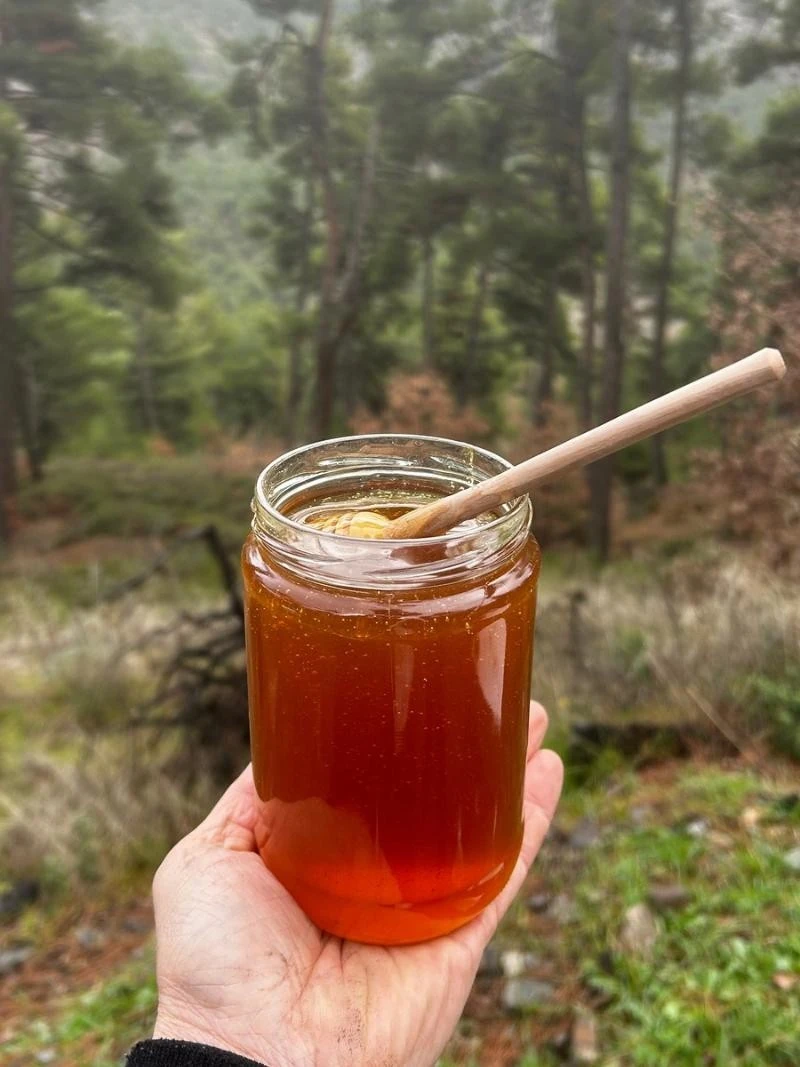 Yüksek Yayla Balı - Çam Balı