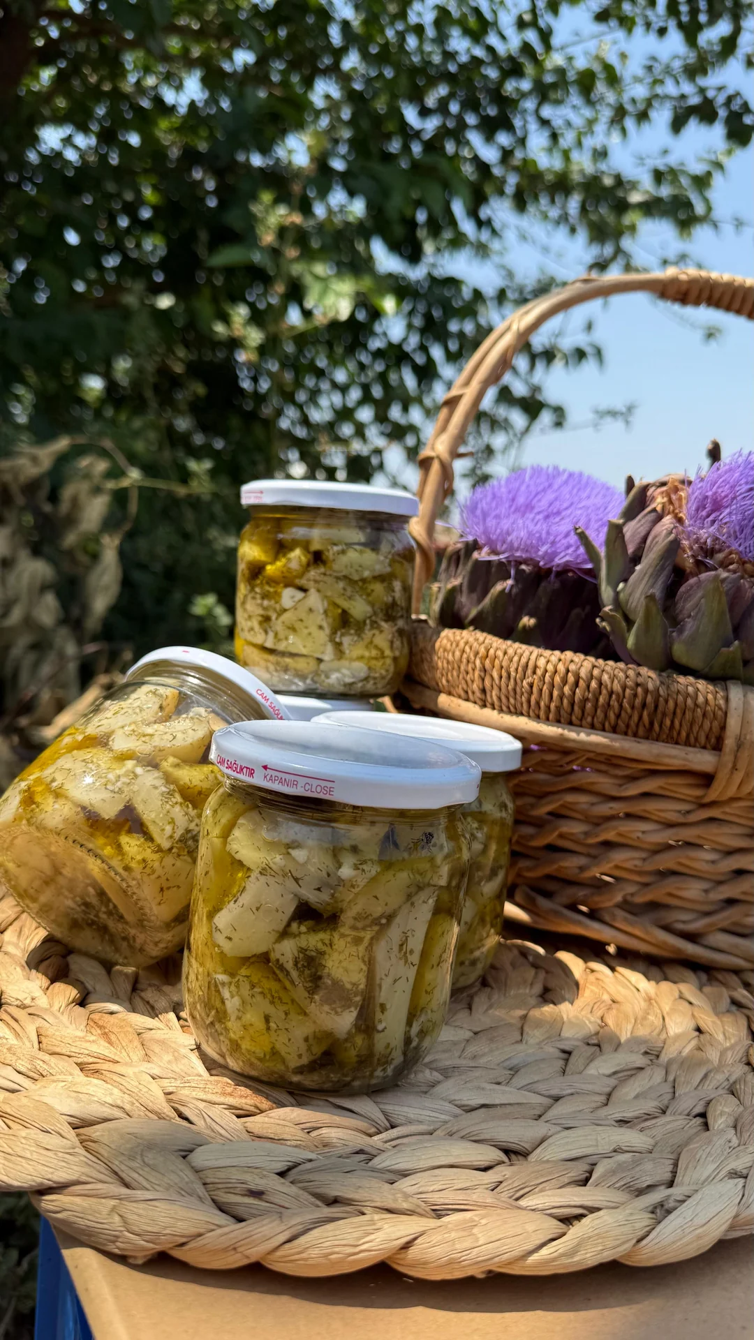 Marine Çanak Enginar Salatası