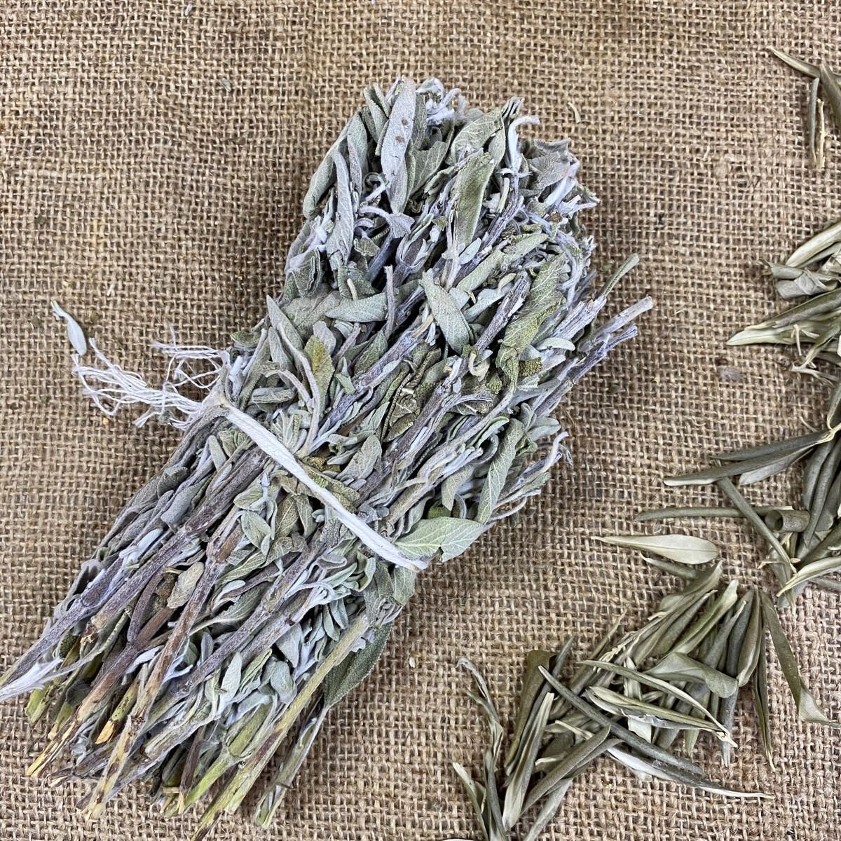 Ada Çayı Dal - 1 Bağ