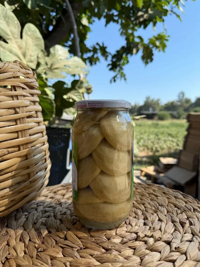 Çanak Enginar Konservesi