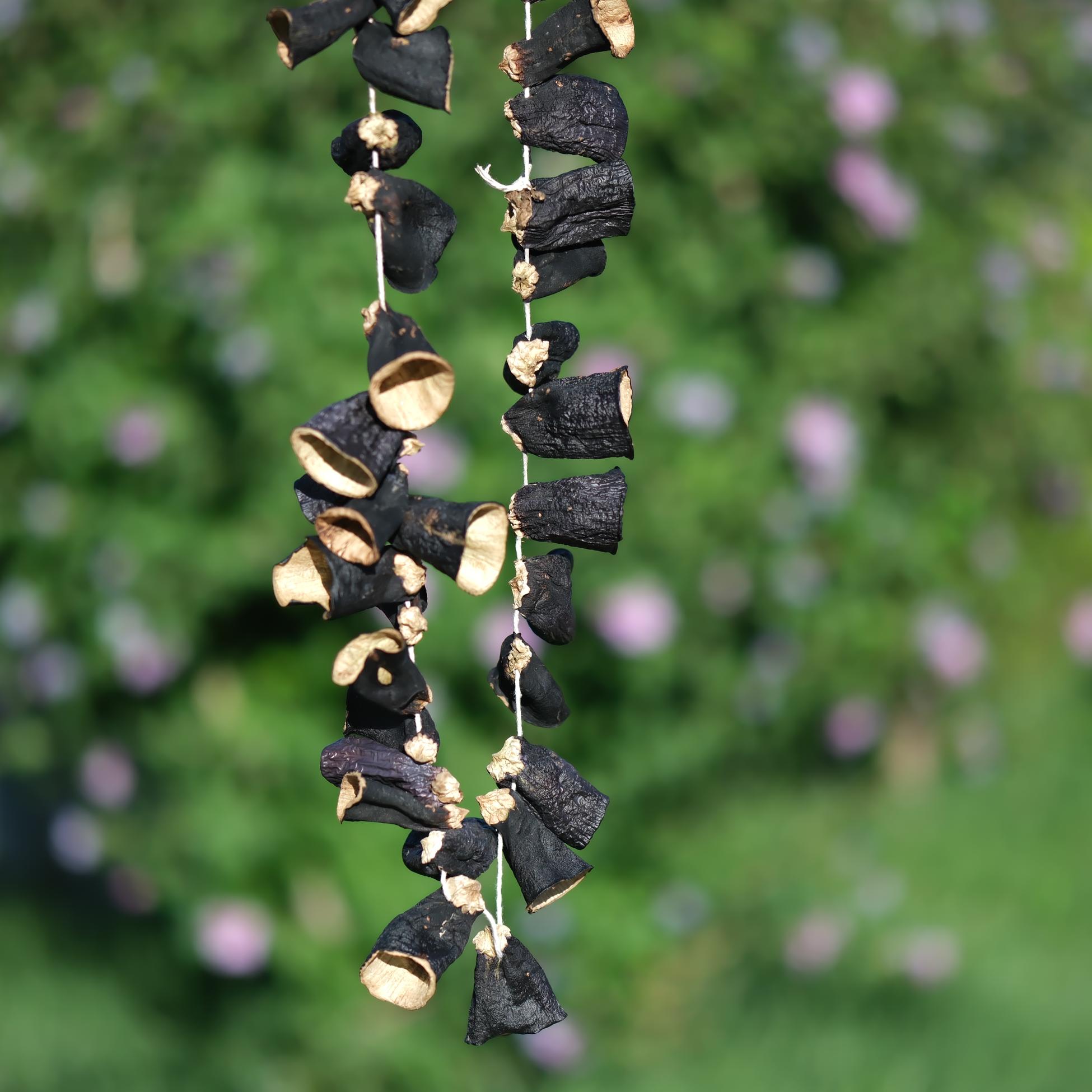 Dolmalık Sap Patlıcan - 45-50 Adet