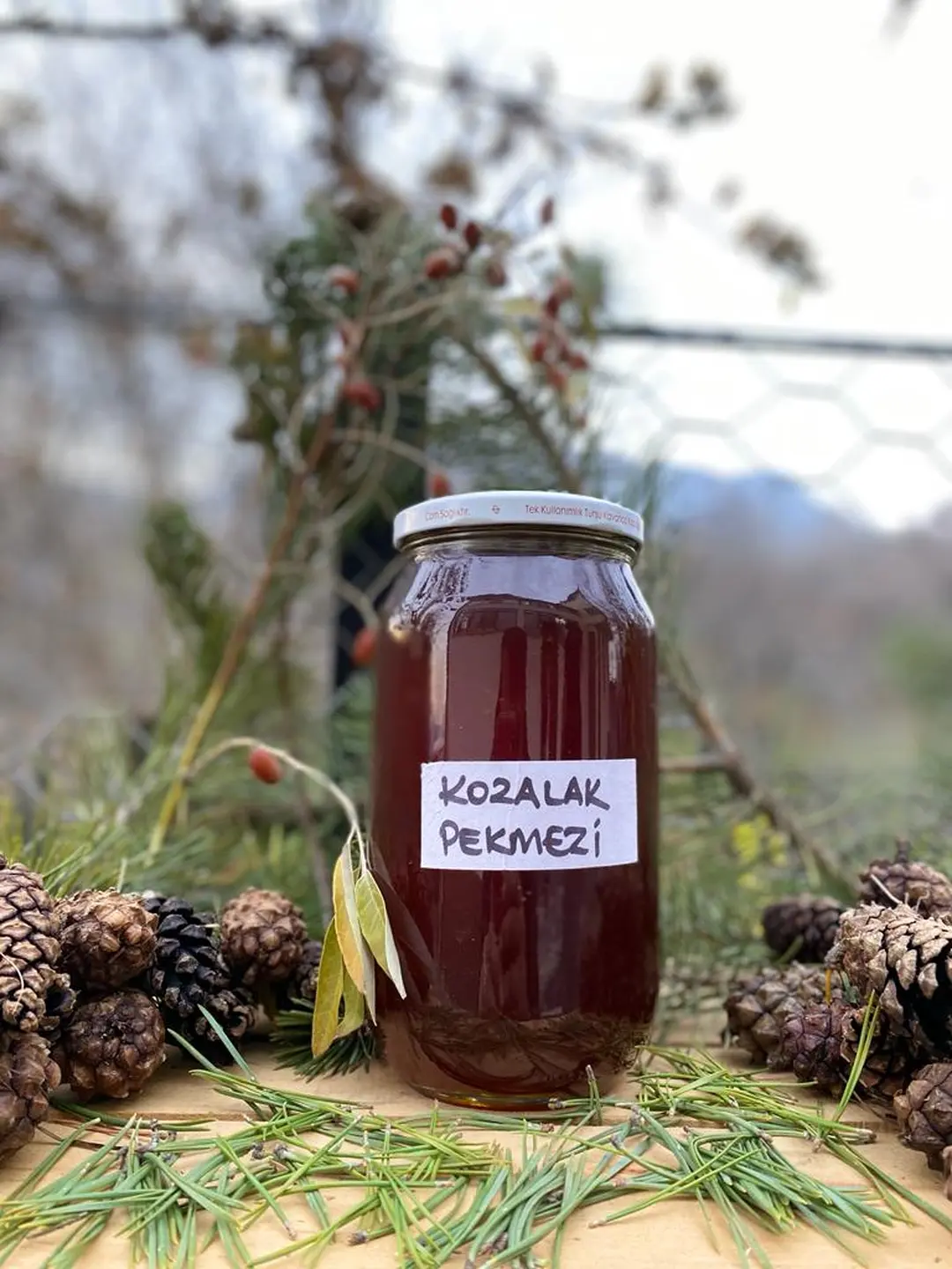 Çam Kozalağı Pekmezi