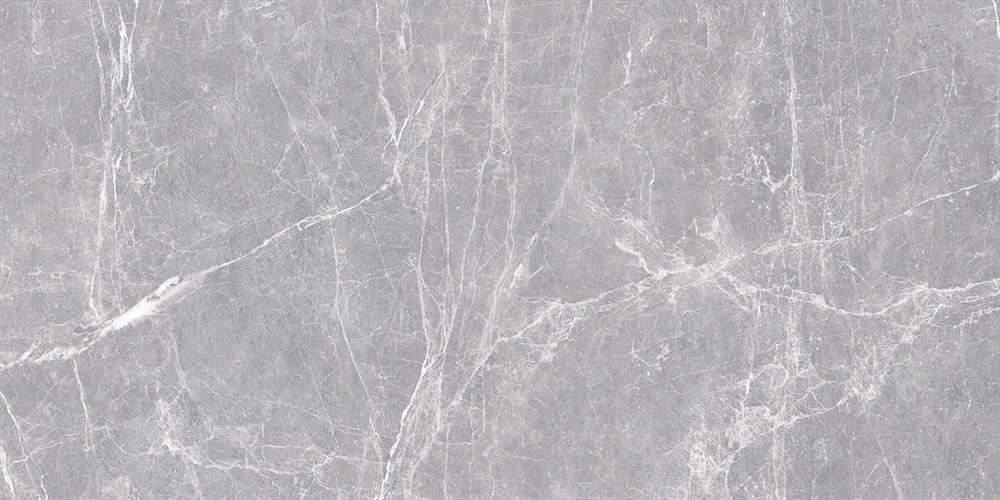 60X120 Terre Grey Full.Lappato