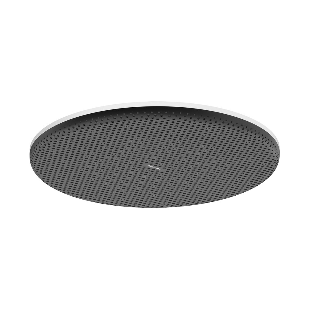 Hansgrohe Raindance Alive S Tepe duşu 300 1jet EcoSmart Mat Beyaz
