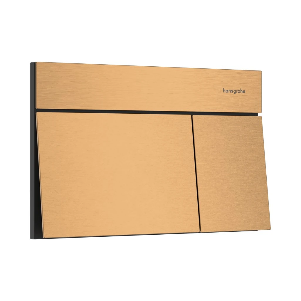 Hansgrohe iFrame Element E Kumanda Paneli Mat Bronz