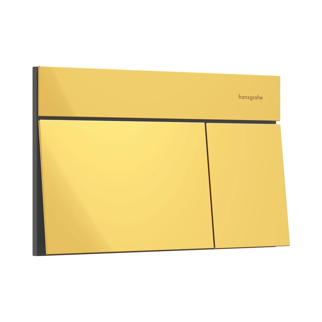 Hansgrohe iFrame Element E Kumanda Paneli Parlak Altın