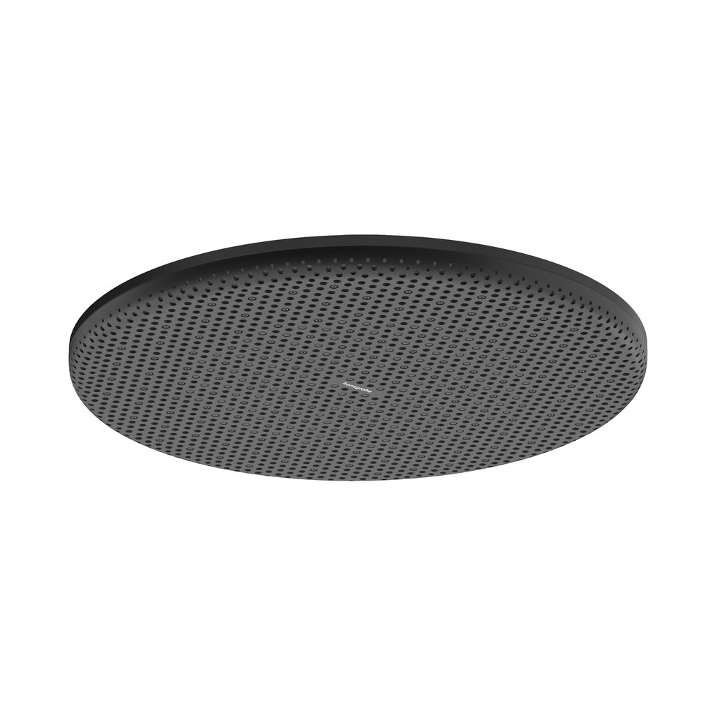 Hansgrohe Raindance Alive S Tepe duşu 300 1jet EcoSmart Mat Siyah