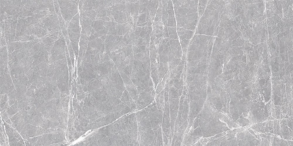 60X120 Terre Grey Full.Lappato