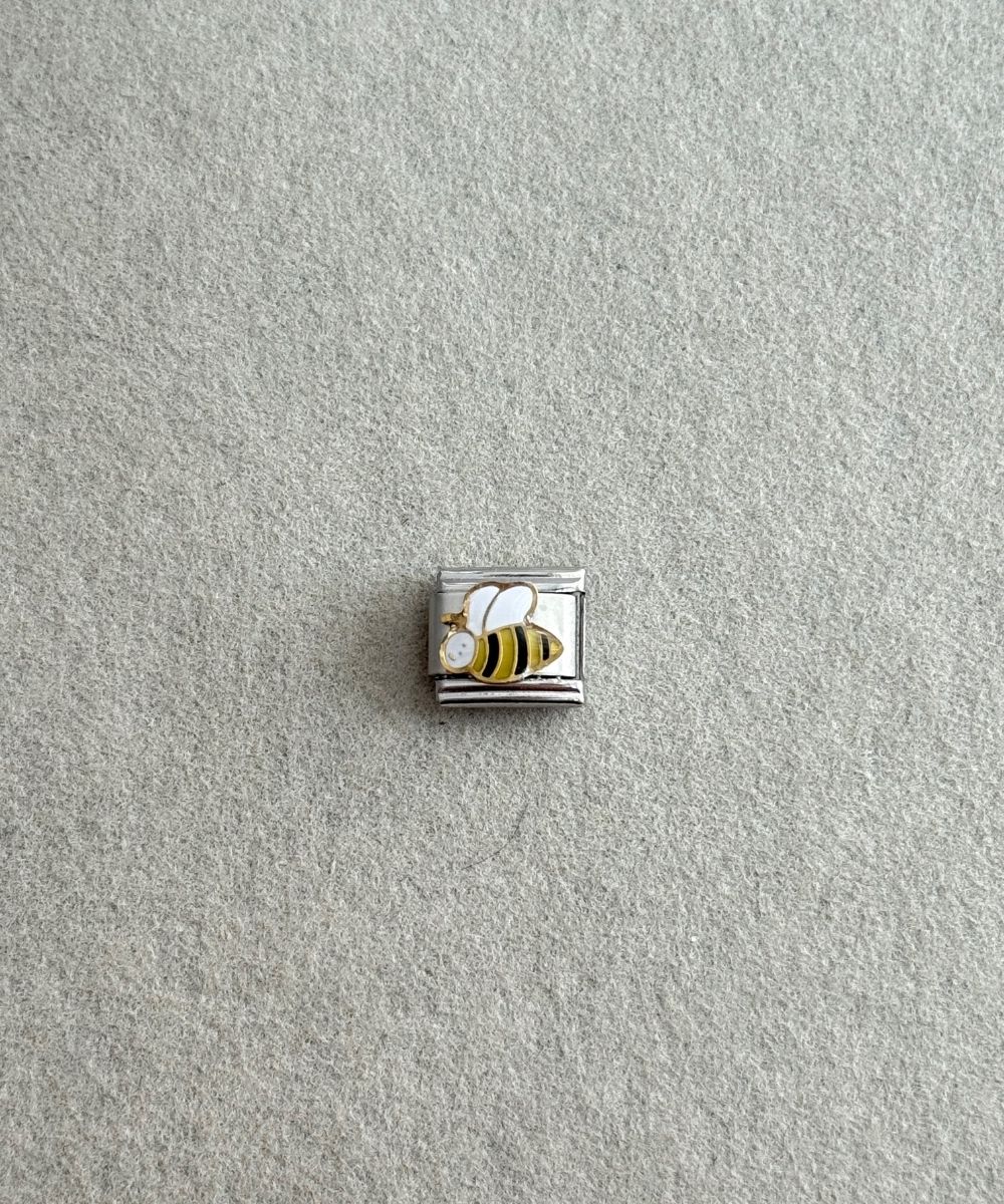 Nomi Arı Charm