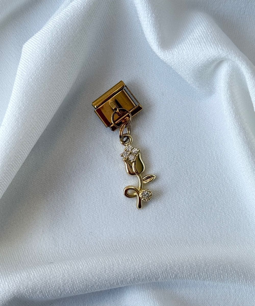 Nomi Sallantılı Gül Charm