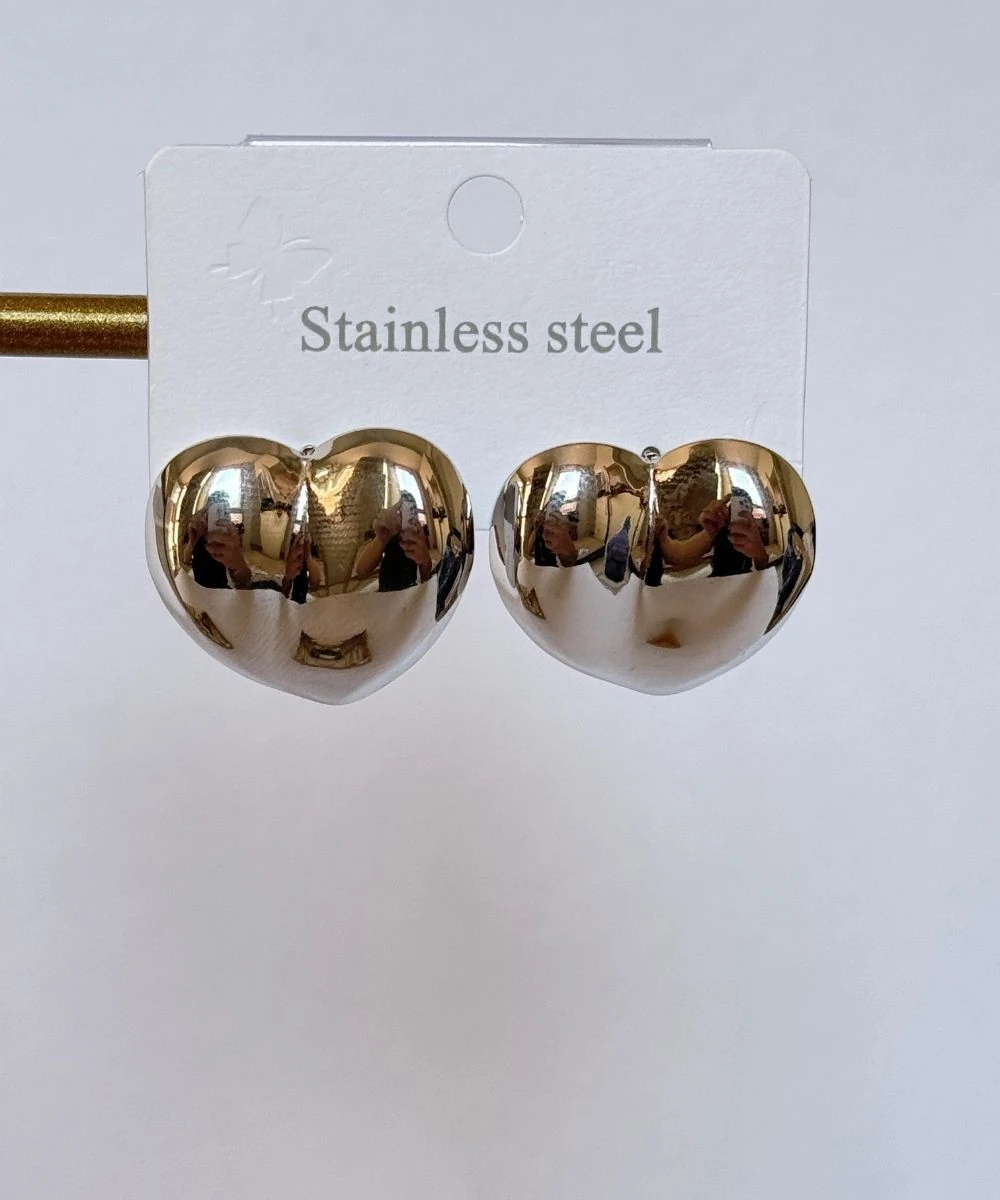 Çelik 2'Li Sade Kalp Silver Küpe