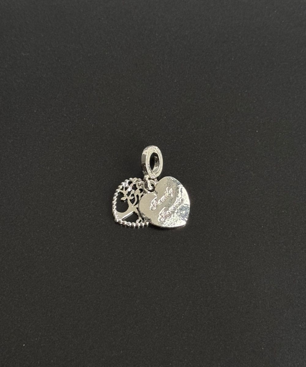 Pndr Family Forever Charm