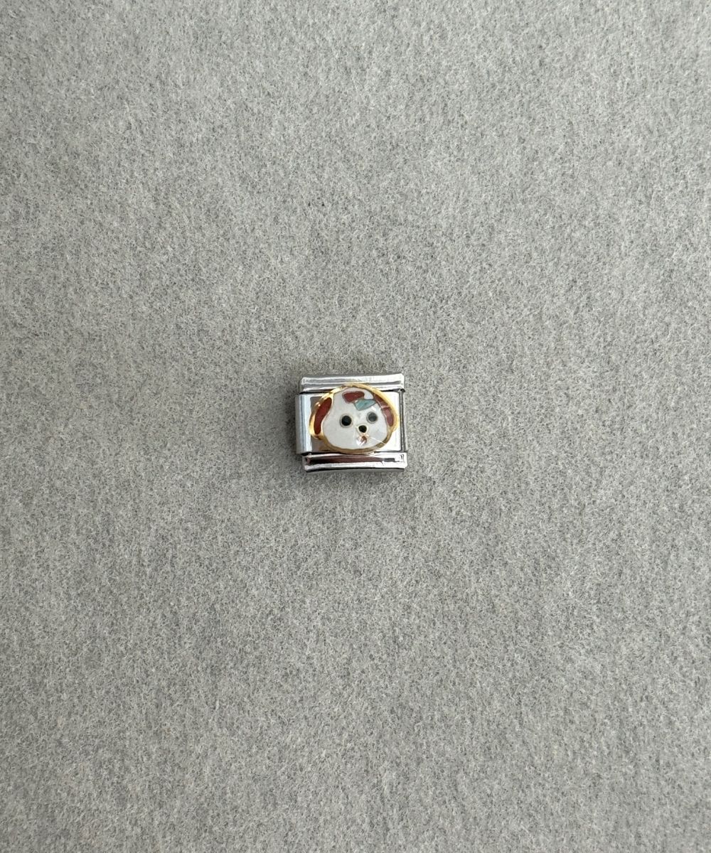 Nomi Puppy Charm