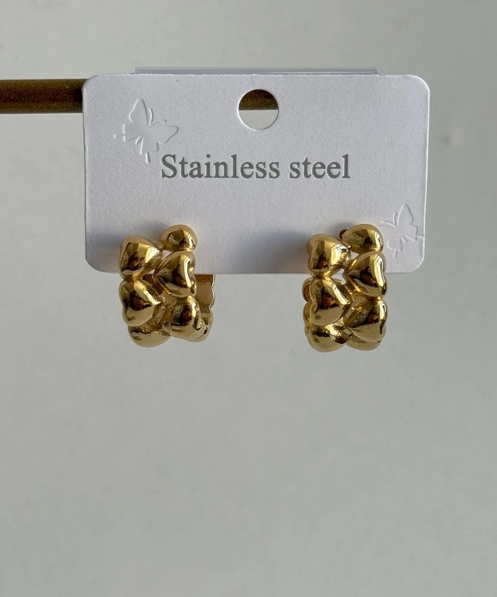 Çelik Kalp Sıra Kalp Küpe