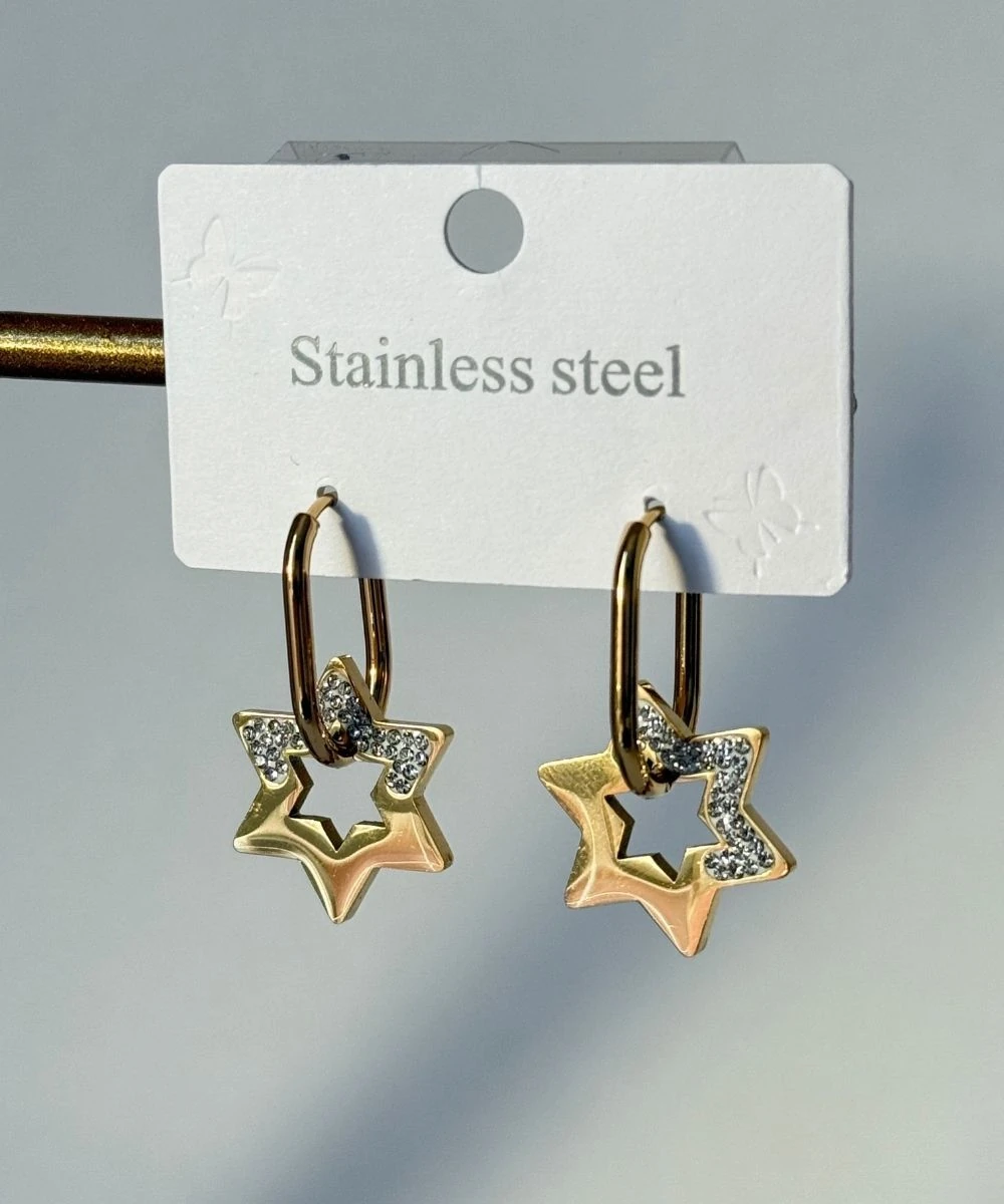 Çelik 2'Li Yarı Parıldayan Yıldız Küpe