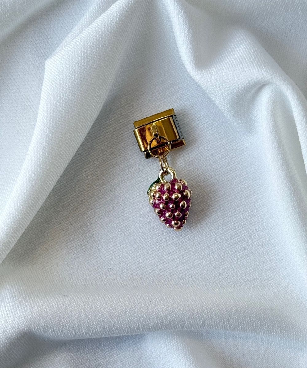 Nomi Sallantılı Çilek Charm