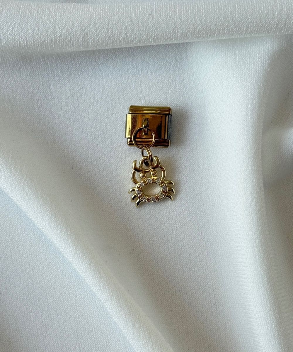 Nomi Sallantılı Taşlı Yengeç Charm