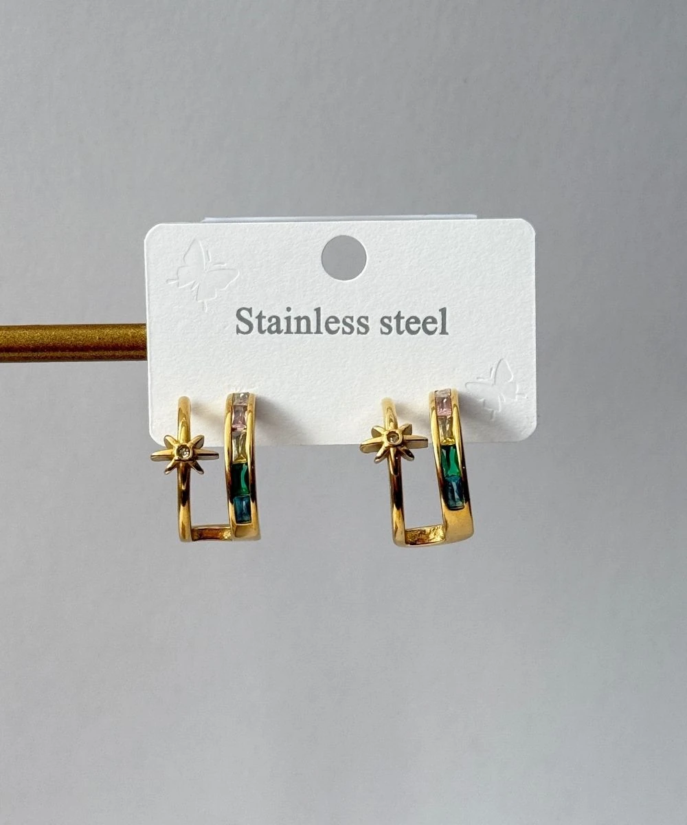 Çelik 2'Li Renkli Halka Çiçek Küpe